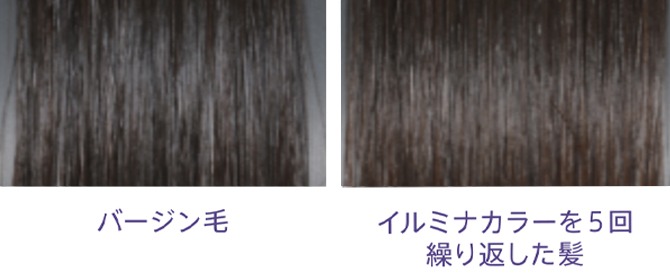 イルミナカラー　透明感　バージン毛　イルミナカラーを5回繰り返した髪