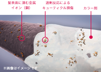 イルミナカラー　透明感　髪表面に潜む金属イオン（銅）　過剰反応によりキューティクル損傷　カラー剤