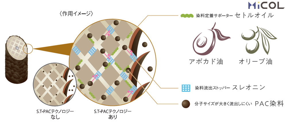 ホーユー　プロステップ　グレイカラー　作用イメージ　S.T-PACテクノロジーなし　S.T-PACテクノロジーあり　染料定着サポーター　セトルオイル　アボカド油　オリーブ油　染料流出ストッパー　スレオニン　分子サイズが大きく流出しにくい　PAC染料