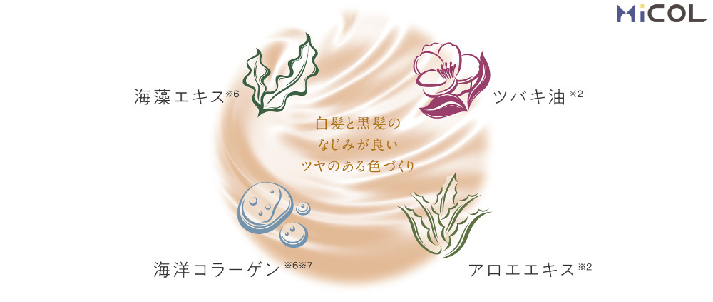 ホーユー　プロステップ　グレイカラー　白髪と黒髪のなじみが良いツヤのある色づくり　ツバキ油　アロエエキス　海洋コラーゲン　海藻エキス
