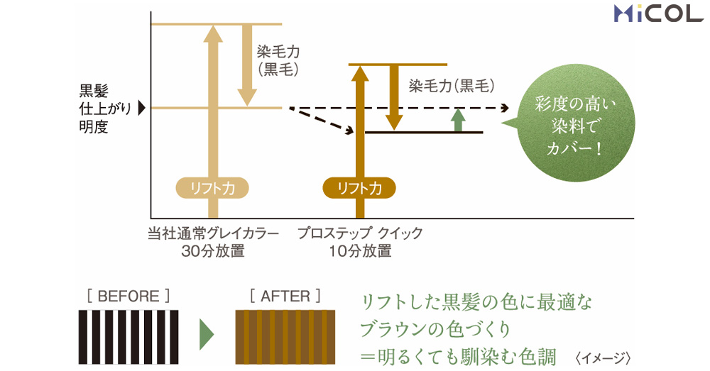 ホーユー　プロステップクイック　グレイカラー　黒髪仕上がり明度　当社通常グレイカラー　30分放置　プロステップ　クイック　10分放置　リフト力　染毛力（黒毛）　彩度の高い染料でカバー！　before　after　リストした黒髪の色に最適なブラウンの色づくり＝明るくても馴染む色調　イメージ