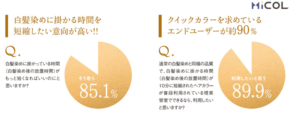 ホーユー　プロステップクイック　グレイカラー　白髪染めに掛かる時間を短縮したい意向が高い！！　Q　白髪染めに掛かっている時間（白髪染め後の放置時間）がもっと短くなればいいのにと思いますか？　そう思う　85.1％　クイックカラーを求めているエンドユーザーが約90％　Q　通常の白髪染めと同様の品質で、白髪染めに掛かる時間（白髪染め後の放置時間）が10分に短縮されたヘアカラーが普段利用されている理美容師室でできるなら、利用したいと思いますか？　利用したいと思う　89.9％