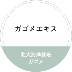 ガゴメエキス
