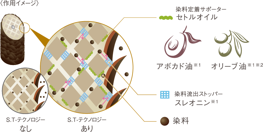 ホーユー　プロステップ　クイック　グレイカラー