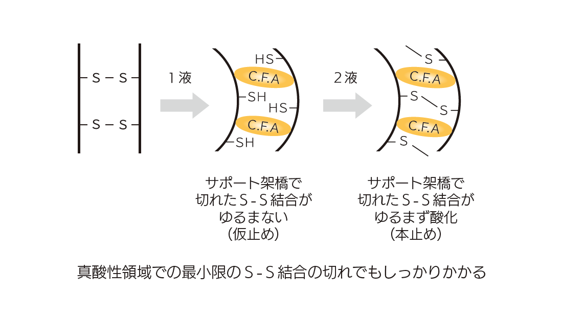 ワイマック　ジュエルコスメティックス　Perm's LABO　パームズラボ