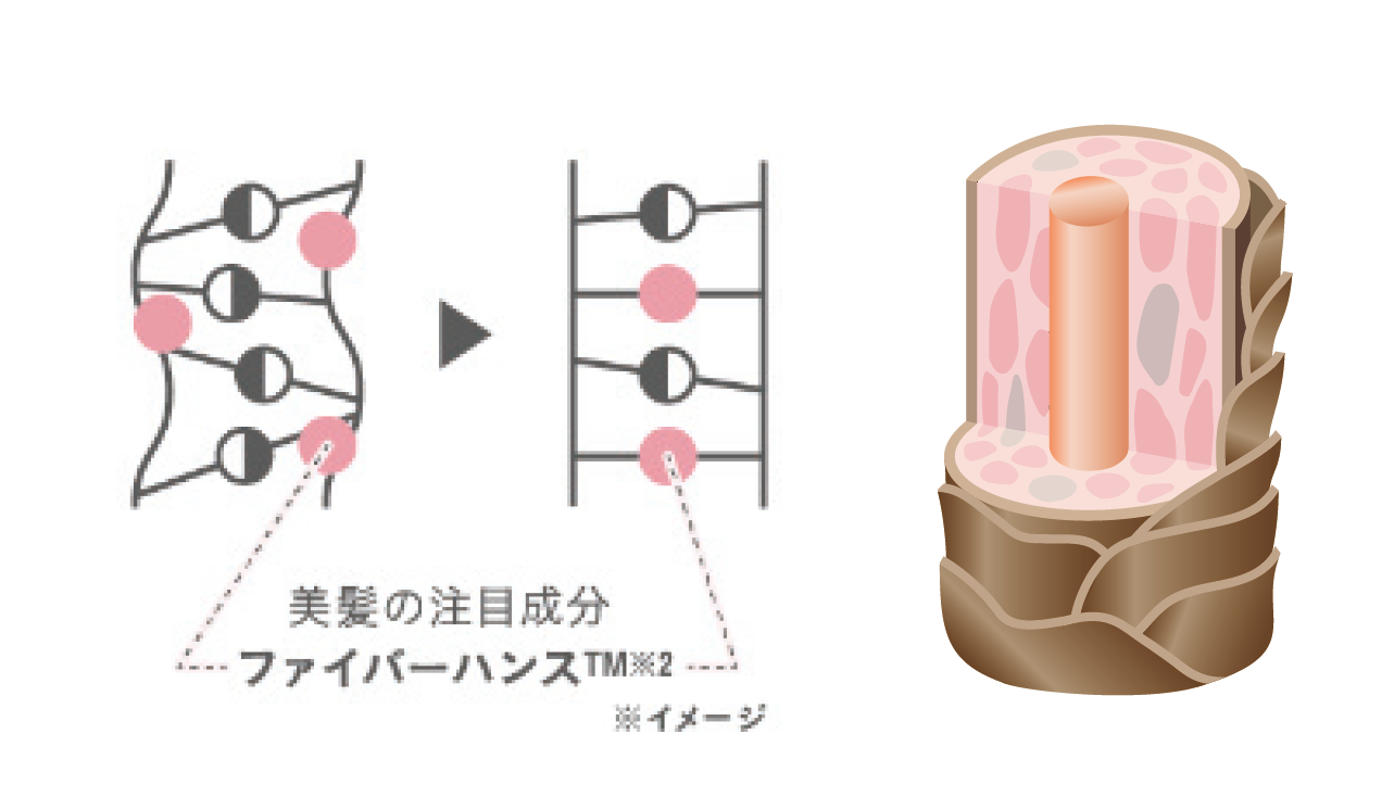 ワイマック　ジュエルコスメティックス　Perm's LABO　パームズラボ