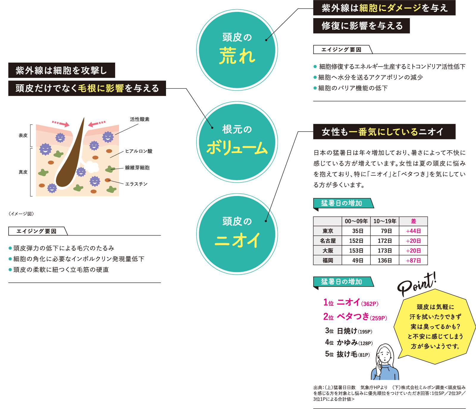 紫外線の種類と影響