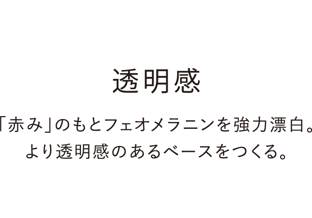 透明感：「赤み」のもとフェオメラニンを強力漂白。より透明感のあるベースをつくる。