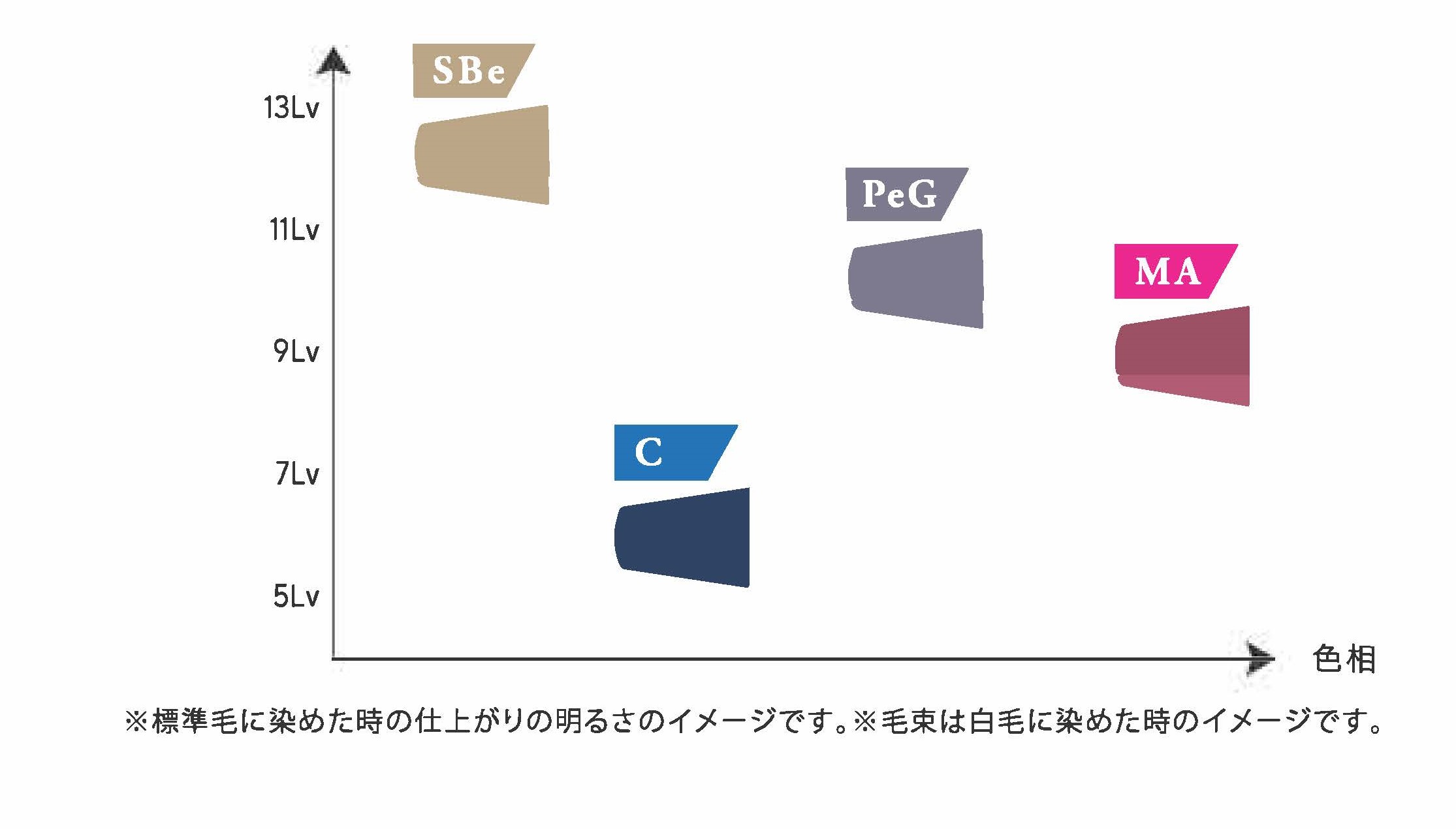 エドルカラー　SBe C PgG MA 13Lv 11Lv 9Lv 7Lv 5Lv 色相　標準毛に染めた時の仕上がりの明るさのイメージです。　毛束は白毛に染めた時のイメージです。