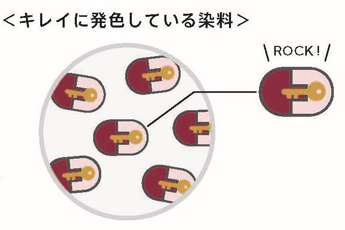 キレイに発色している染料　ROCK！