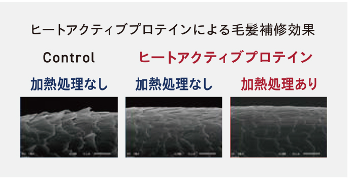 ヒートアクティブプロテインによる毛髪補修効果ヒートアクティブプロテイン加熱処理なし加熱処理ありControl加熱処理なしMa