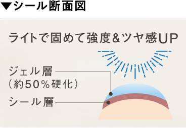 硬化型ジェルネイルシール