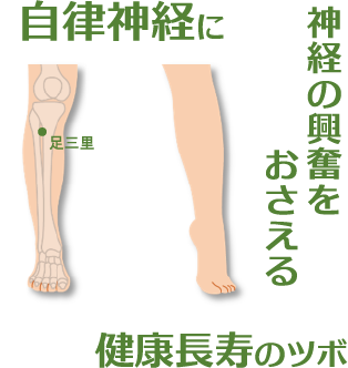 自律神経に