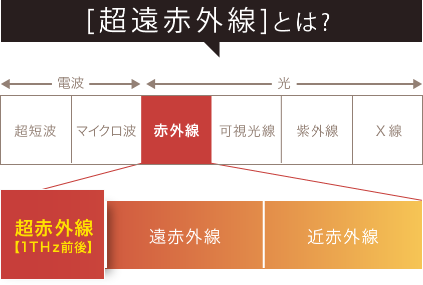 KINUJO キヌージョ　きぬーじょ