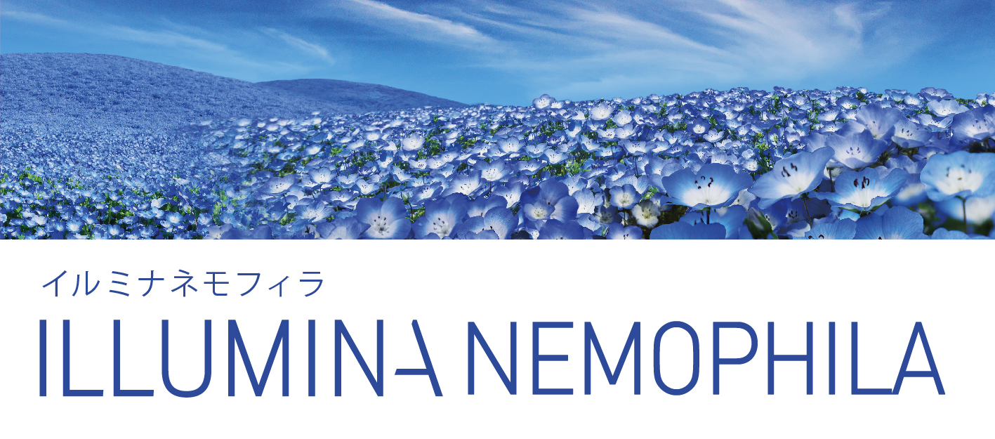 Shade_ネモフィラ.jpg
