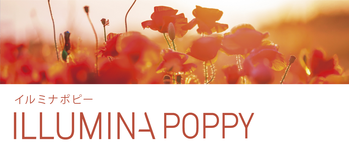 Shade_ポピー.jpg
