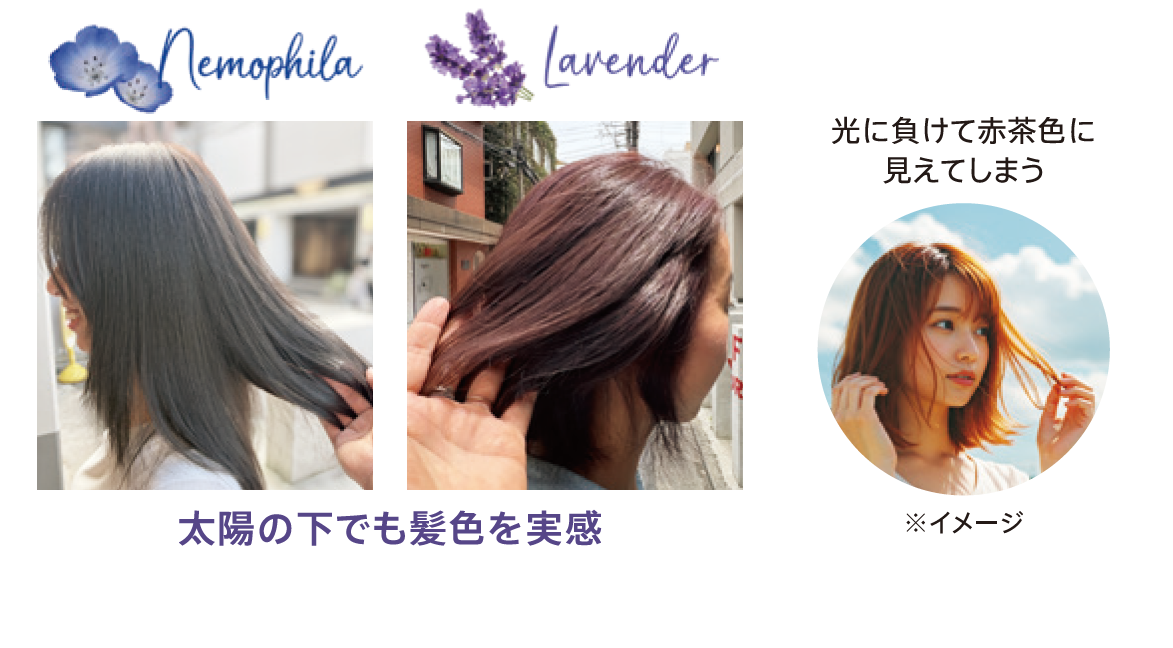 正規販売店＞ウエラ イルミナカラー 2025年4月新色！トレンドの『王道