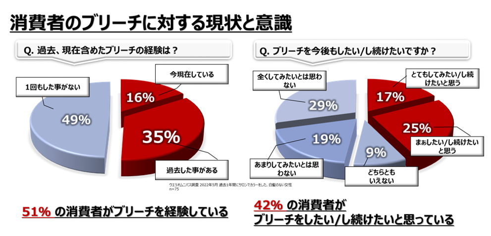 消費者のブリーチに対する現状と意識
