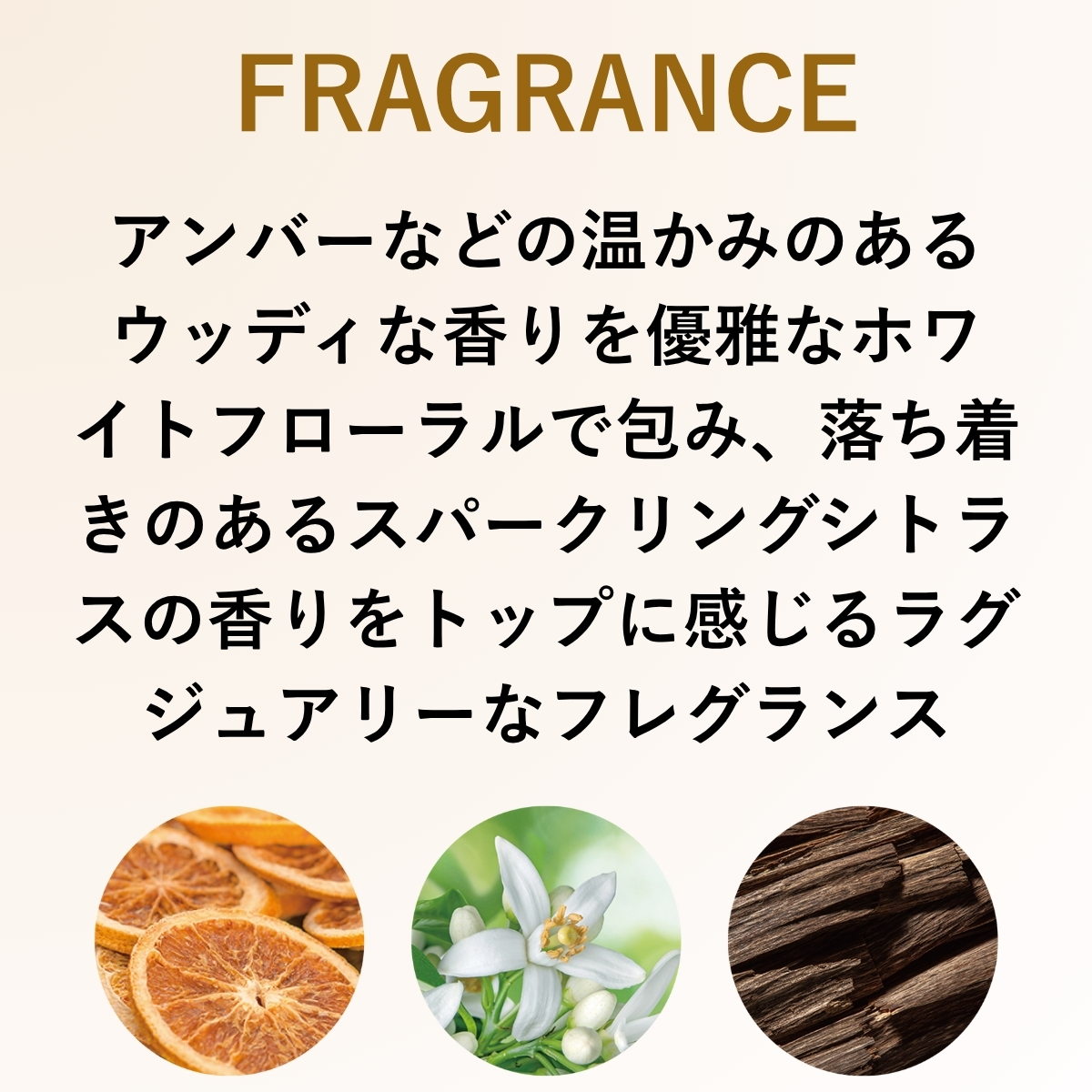 フレグランス　アンバーなどの温かみのあるウッディな香りを優雅なホワイトフローラルで包み、落ち着きのあるスパークリングシトラスの香りをトップに感じるラグジュアリーなフレグランス