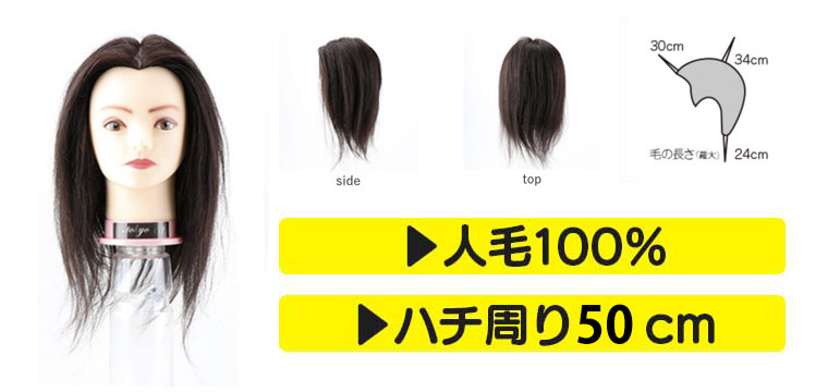 ウィッグ