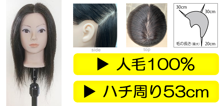 ウィッグ