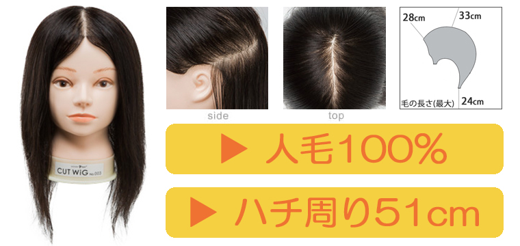 カットウィッグ 10個 カット済み 東京チャームカットウイッグ №55 – DD