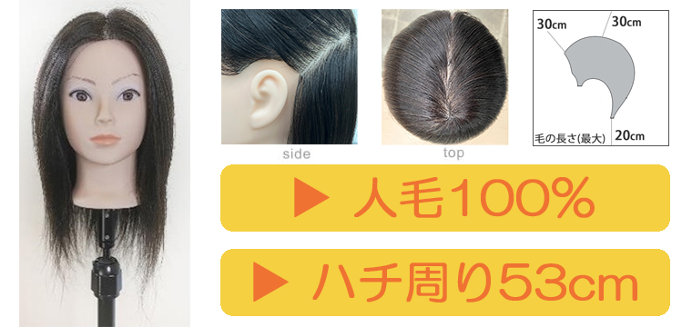 2023年秋のMiCOLウィッグキャンペーン | 理美容用品商材総合通販サイト